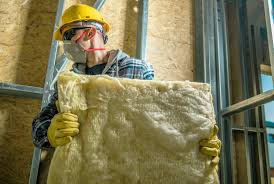 Best Insulation Removal  in Knoxvle, IL